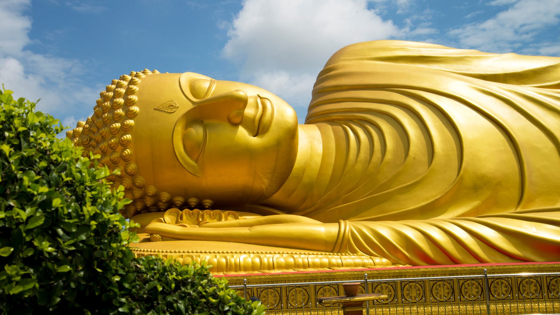 Tịnh hạnh đạo tràng - Soi sáng vô minh – hiểu rõ nhân duyên