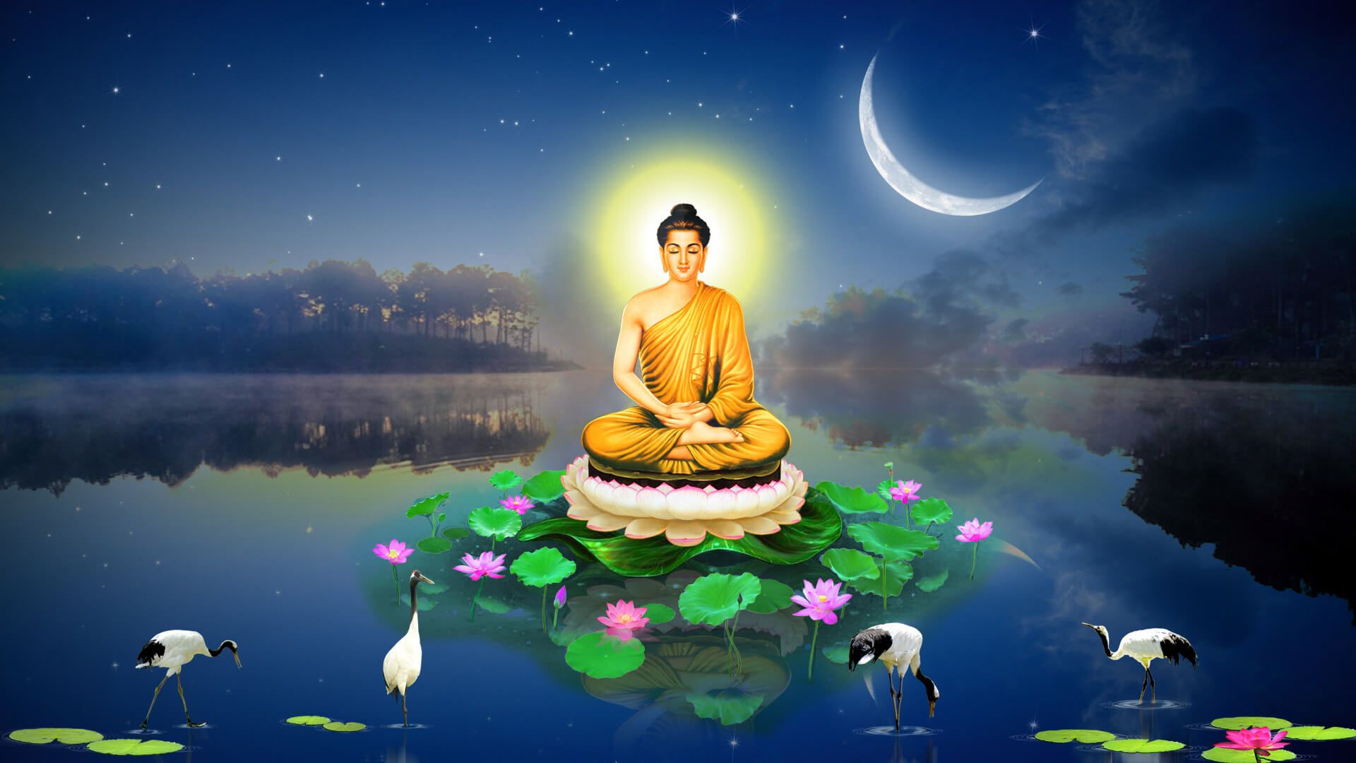 Tịnh hạnh đạo tràng - Nương tựa phật